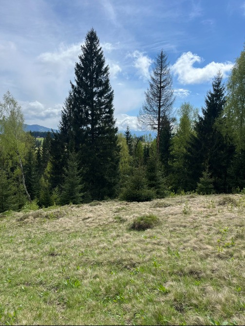 Земельна ділянка в Яблуниці 0.42 га Яремче - зображення 2