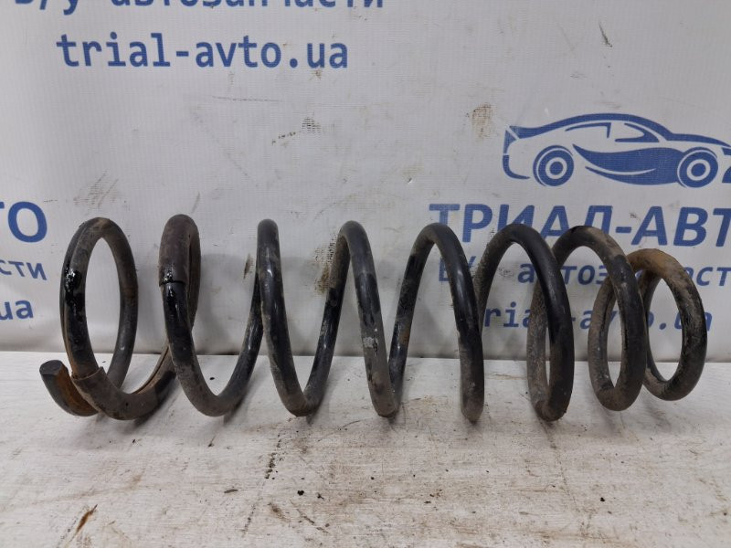 Пружина задняя Chevrolet Epica 2006-2013 96639761 (Арт. 78825) Київ - зображення 1
