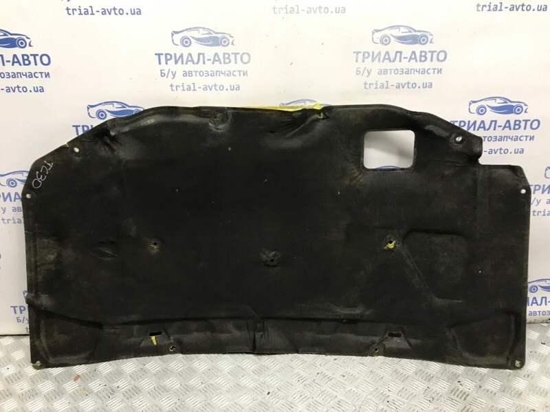 Обшивка капота Toyota Camry XV30 2.4 БЕНЗИН 2AZFE 2001 (б/у) Киев - изображение 1