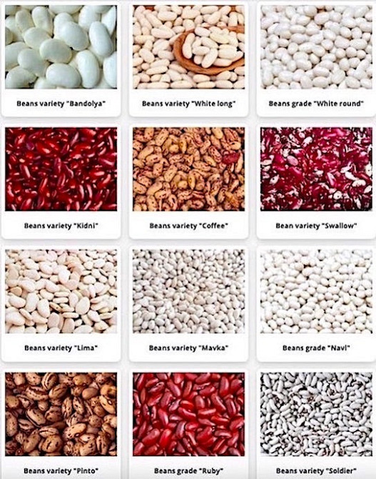 Сортова квасоля в асортименті. Будь-які обсяги Дніпро - зображення 1