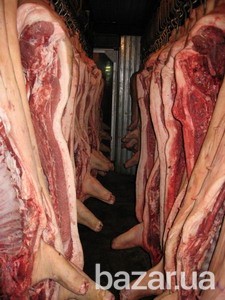 Линия по убою свиней и крс Львов - изображение 3