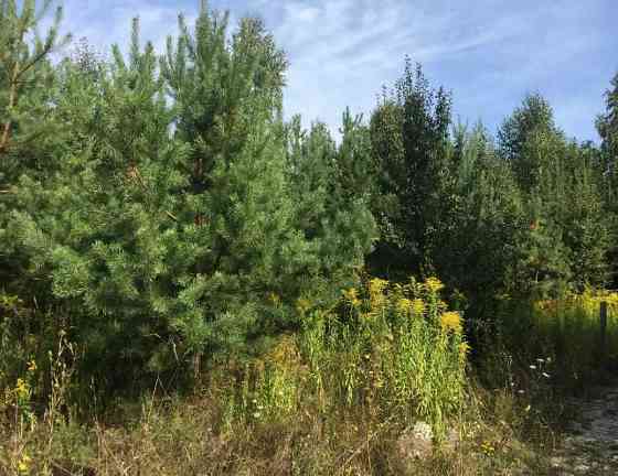 продажа участок под жилую застройку Киево-Святошинский, Вита-Почтовая, 80000 $ 