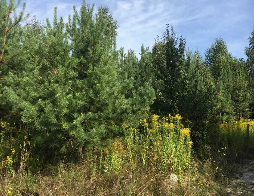 продажа участок под жилую застройку Киево-Святошинский, Вита-Почтовая, 80000 $  - зображення 1