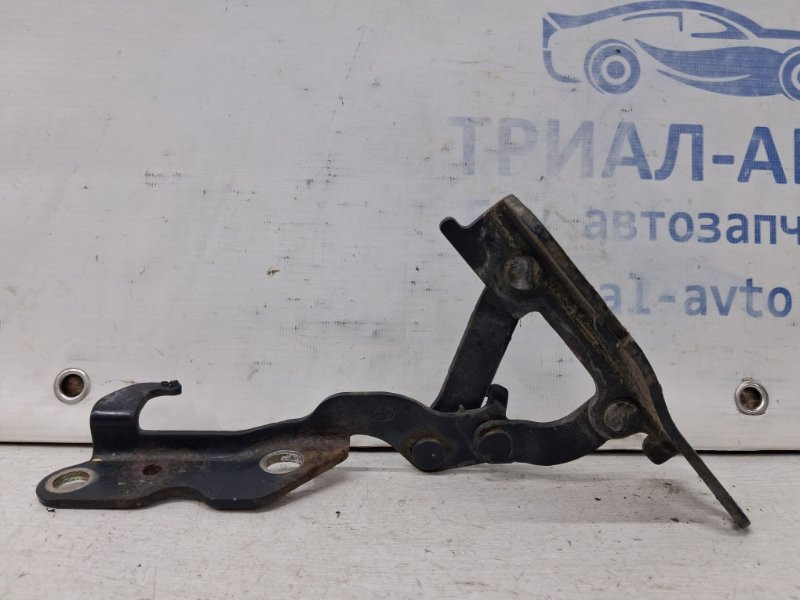 Петля капота левая Hyundai Sonata 2004-2010  (Арт. 66789) Київ - зображення 1