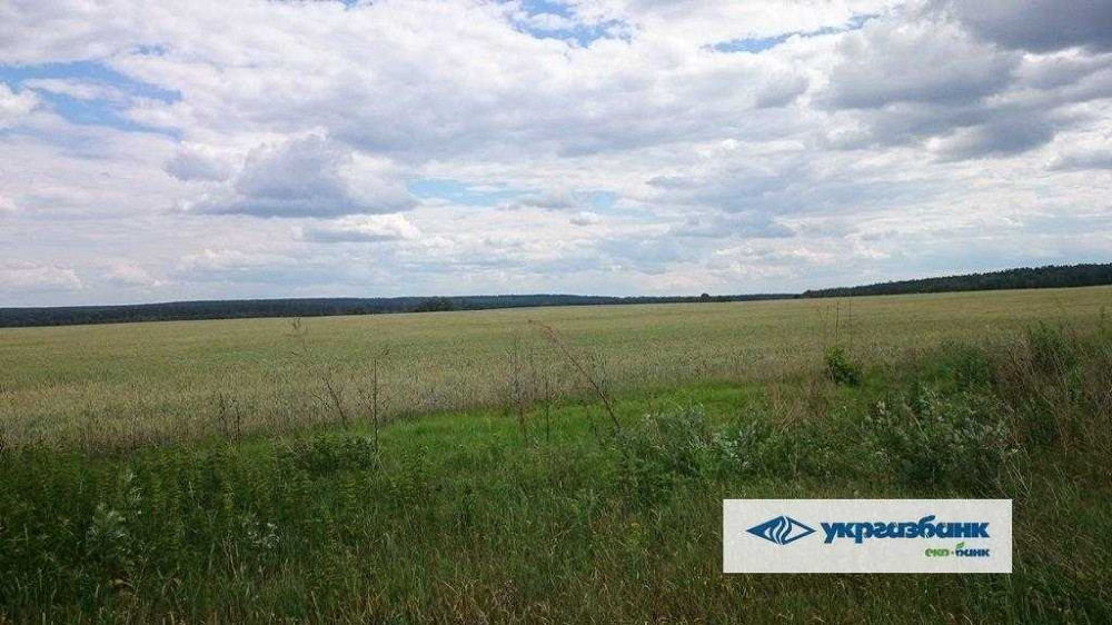 продажа земля сельскохозяйственного назначения Макаровский, Мостище, 1339000 грн.  - зображення 3