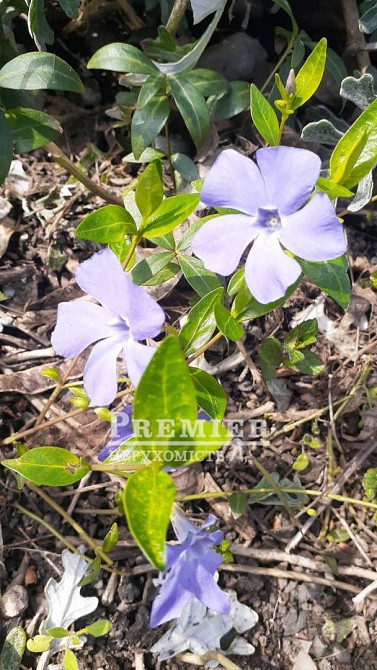 2-кімнатна квартира в центрі міста з ремонтом. Одесса - изображение 9