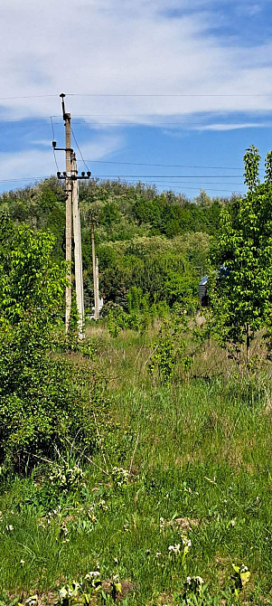 с. С.Безрадичі (Романков, Дмитровичі, Підгірці) 25сот під забудову, Обухов - изображение 1