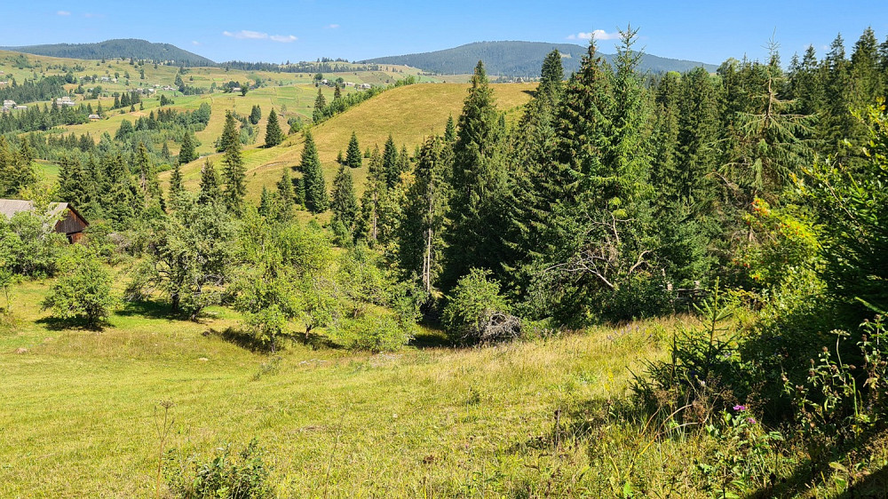 Земельна ділянка у селі Яблуниця 2.65га Яремче - изображение 4