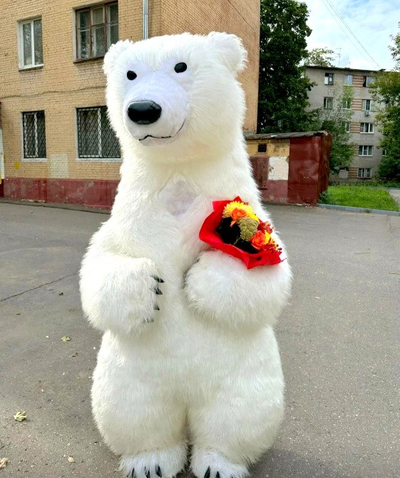 Заказать мишку аниматора на день рождения Днепр цена Дніпро - зображення 2