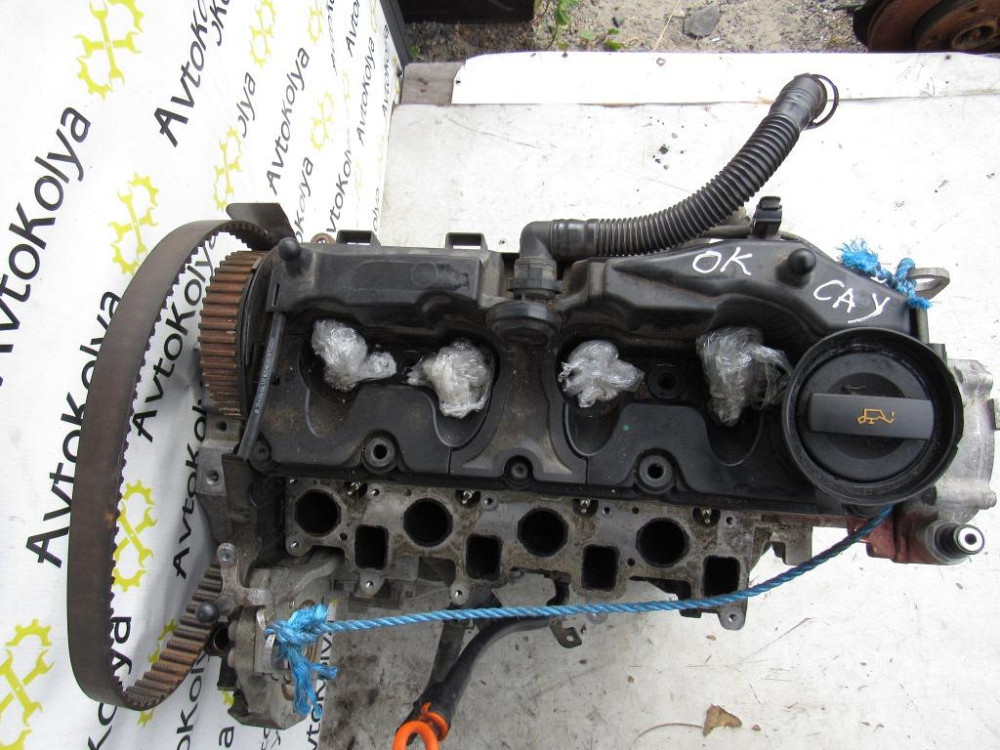 Двигатель VW Caddy 1.6 tdi 2010-2015 (CAY) Ковель - изображение 9