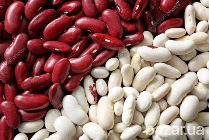 Фасоль опт продажа Запоріжжя - зображення 1