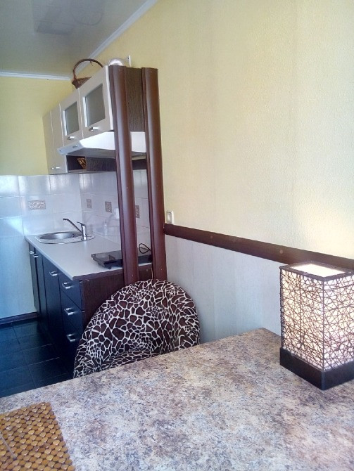 Хозяин: Центр, Печерск, М. Дружбы Народов: современная, видовая. Без комиссии. Киев - изображение 12