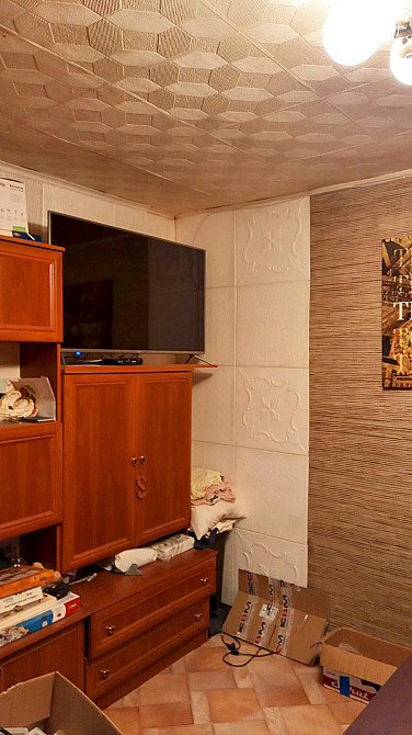 Продам дом в городе на берегу реки Днепр - изображение 6