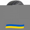 225/50 R17 Doublestar WINTERKING DW08 94H Легкова шина Київ