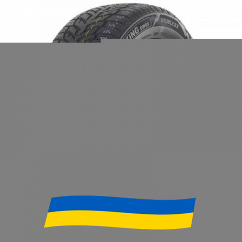 225/50 R17 Doublestar WINTERKING DW08 94H Легкова шина Киев - изображение 1