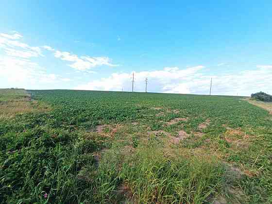 продажа земля сельскохозяйственного назначения Ровно, Бармаки, 75000 $ 