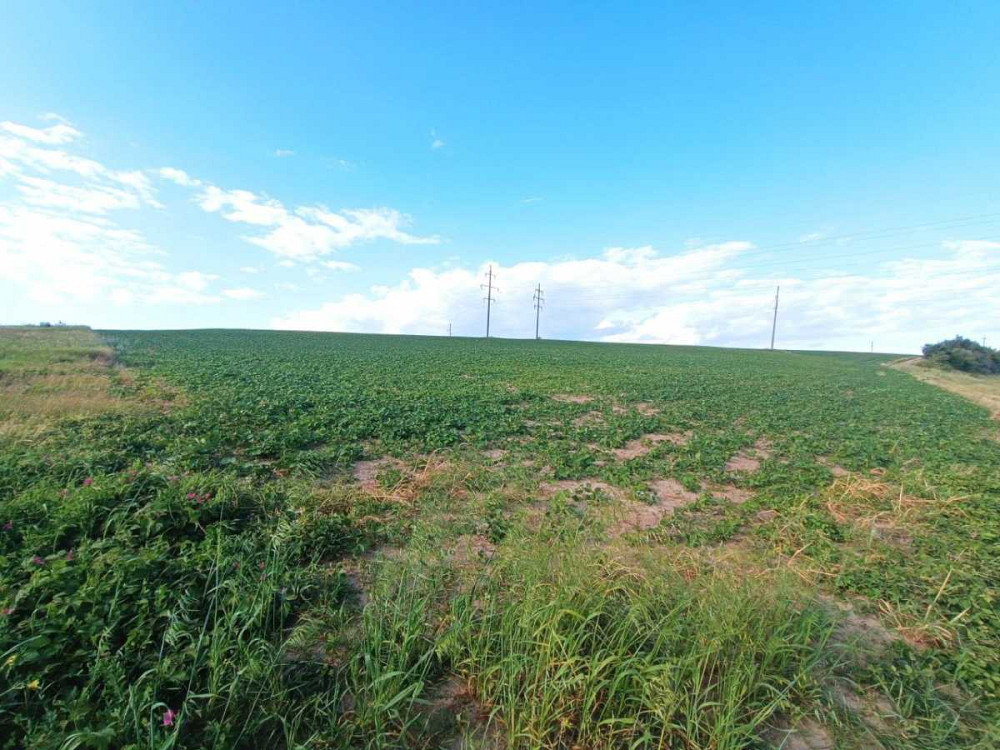 продажа земля сельскохозяйственного назначения Ровно, Бармаки, 75000 $  - зображення 1