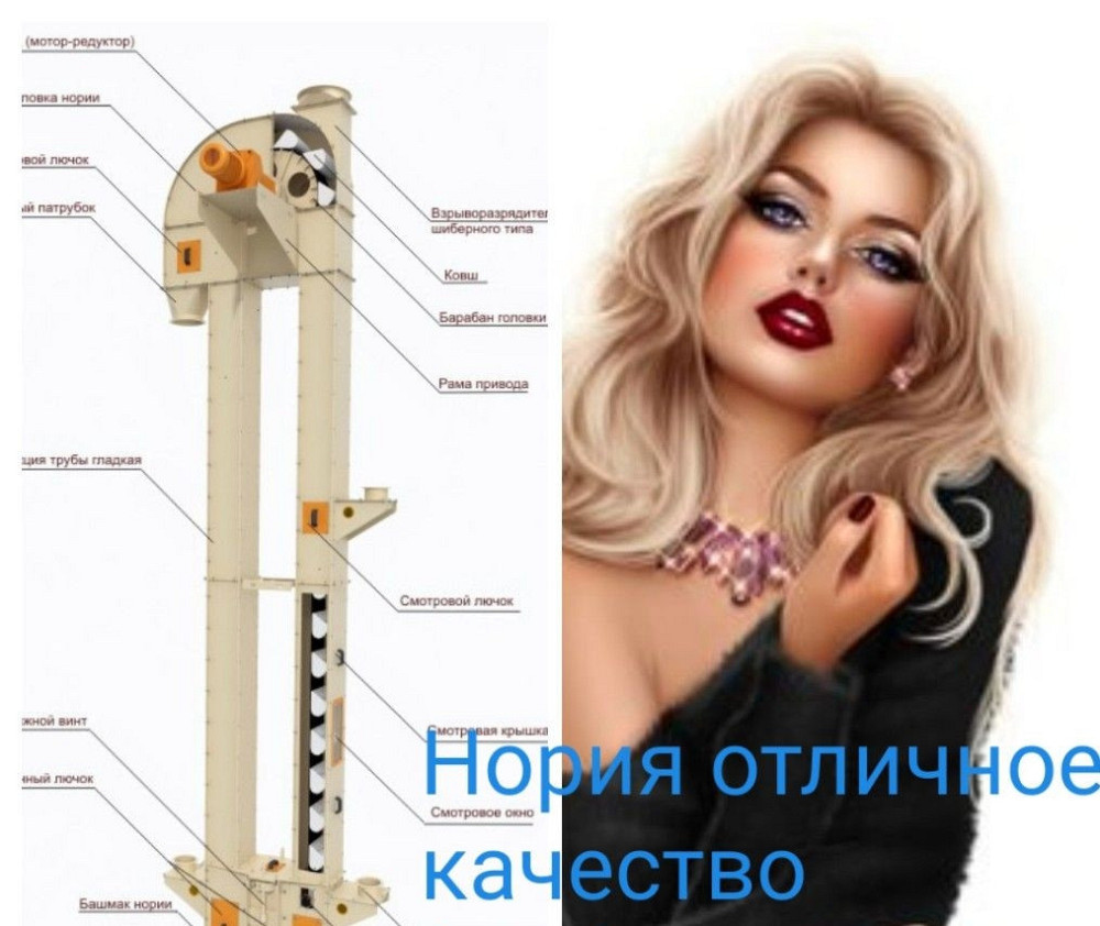 Нория ковшевая 600 т/ч , запчасти Киев - изображение 1