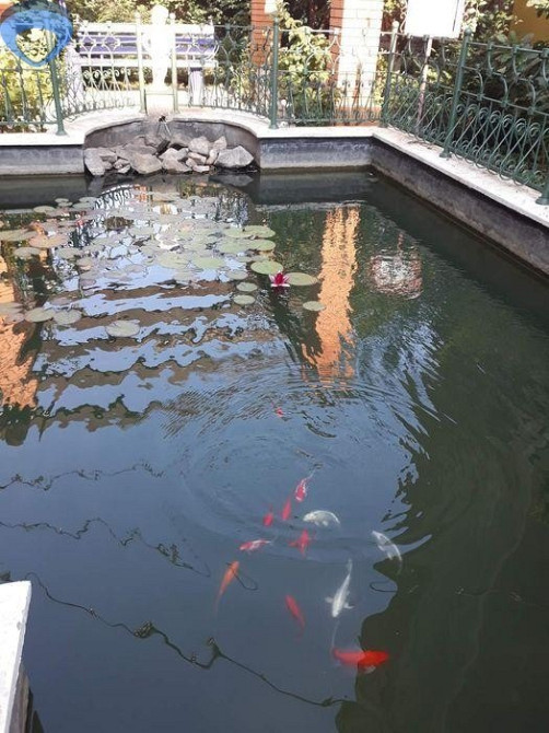 Квартира в Зеленом Мысе на марсельской Одесса - изображение 4