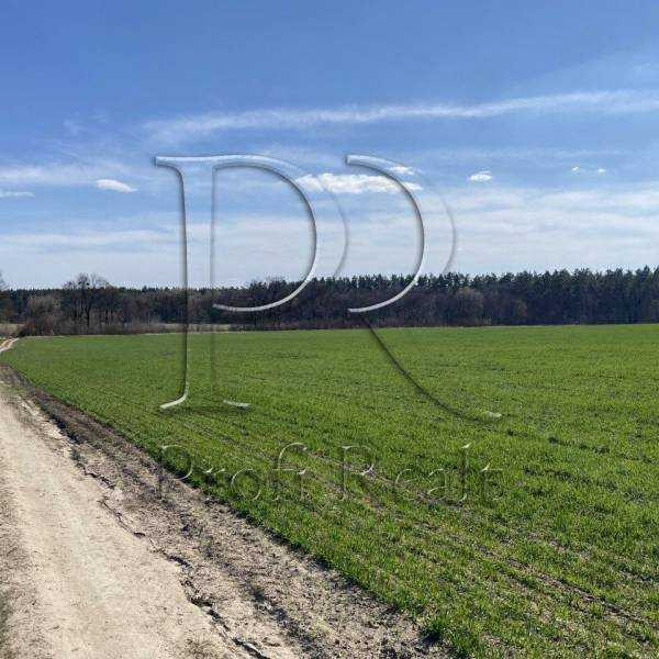 продажа участок под жилую застройку Киево-Святошинский, Хотов, 69999 $  - зображення 3