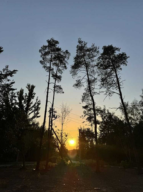 продажа участок под жилую застройку Новомосковский, Песчанка, 12500 $  - изображение 3