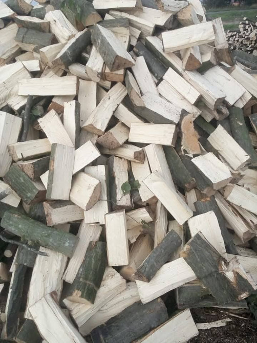 Купити дрова Млинів – швидка доставка Млинів - зображення 1