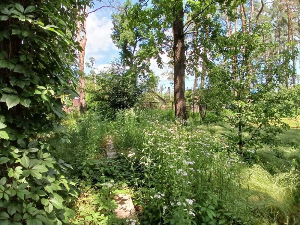 продажа участок под жилую застройку Киево-Святошинский, Ирпень, 94000 $ Ирпень - изображение 1