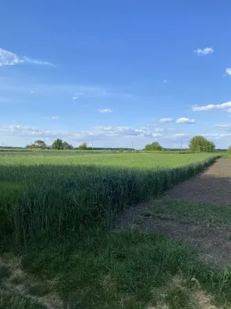 Продам земельну ділянку під забудову Умань