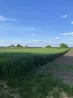 Продам земельну ділянку під забудову Умань