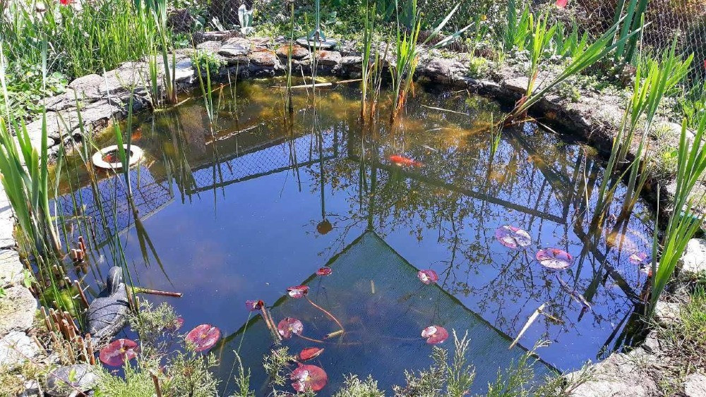 478 метров в лесках для воплощения идей Одеса - зображення 6