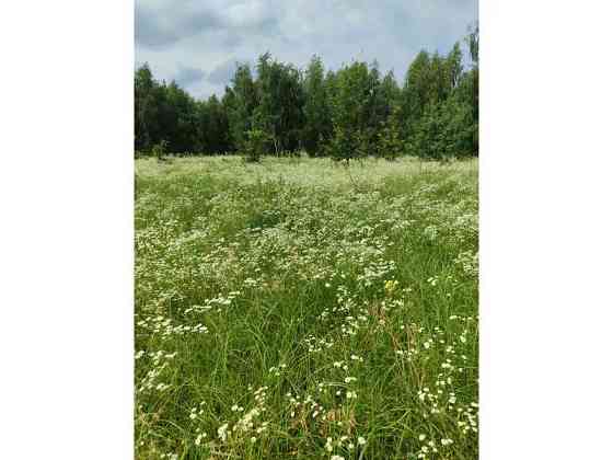 продажа земля сельскохозяйственного назначения Бородянский, Озера, 13082028 грн. 