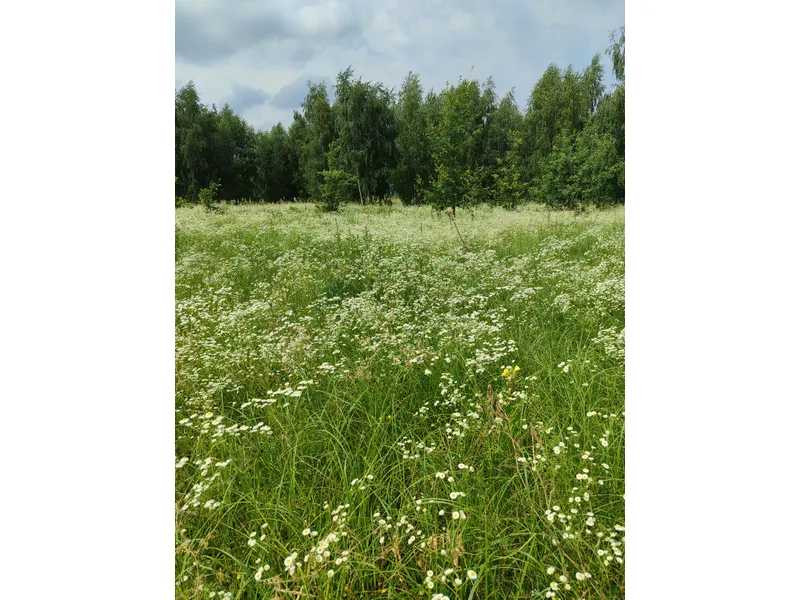 продажа земля сельскохозяйственного назначения Бородянский, Озера, 13082028 грн.  - зображення 1