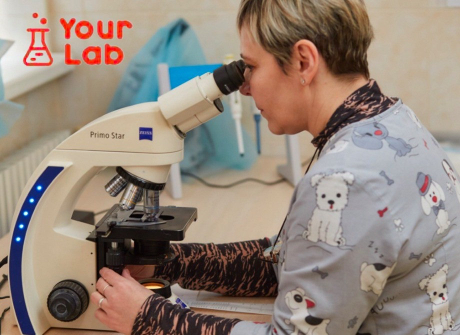 Лабораторні дослідження та щеплення в Your Lab Харків - зображення 2