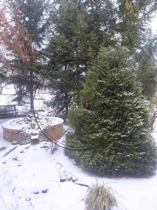 Аренда отличного 3-х этажного дома в с. Великие Дмитровичи. № 139270 Київ - зображення 6