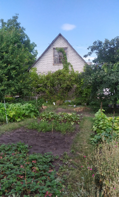Дача ст. Лаванда, п.Кулебовка Новомосковск - изображение 3