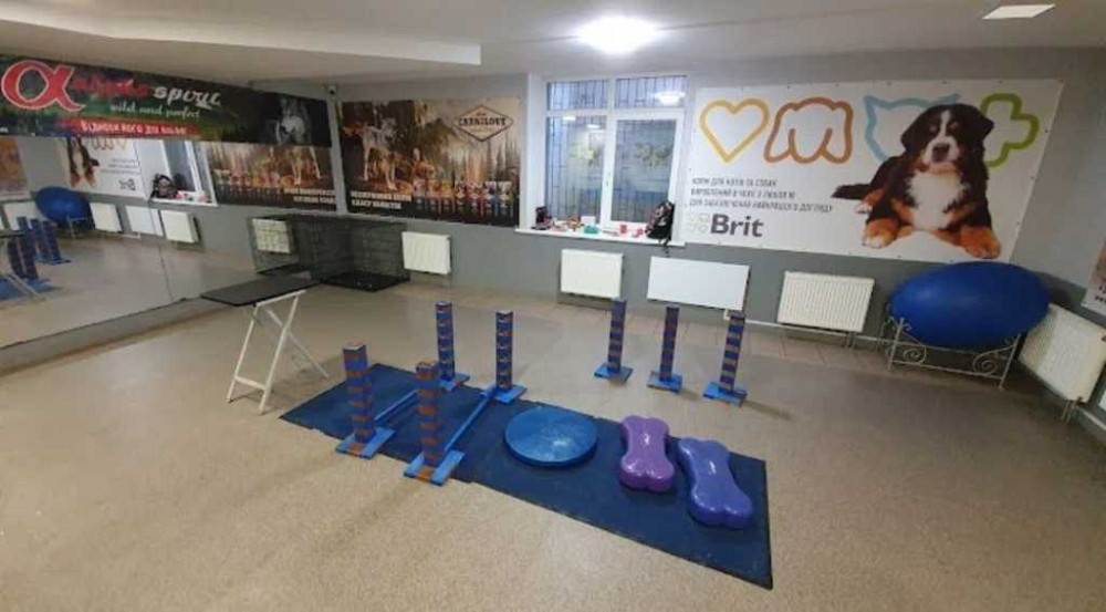 продажа торговые площади Киев, Голосеевский, 170000 $ Киев - изображение 8