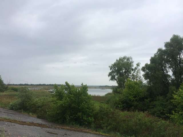 продажа участок под жилую застройку Бориспольский, Процев, 58000 $  - зображення 3