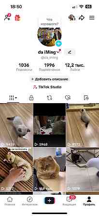 Южнокорейский TikTok-аккаунт, подходит для монетизации Киев