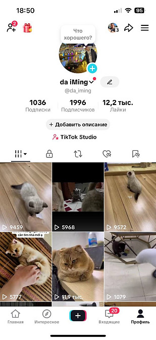 Южнокорейский TikTok-аккаунт, подходит для монетизации Киев - изображение 1