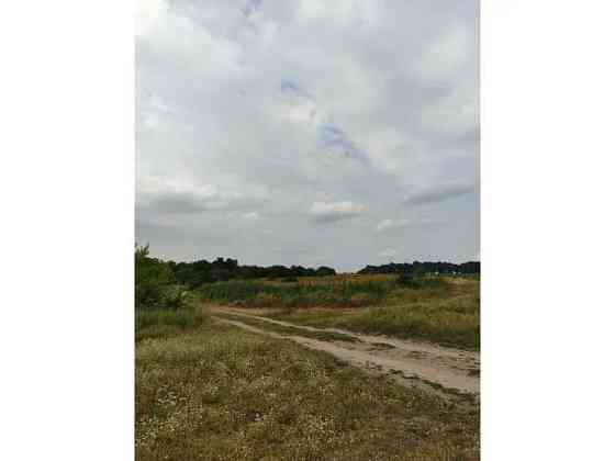 продажа земля сельскохозяйственного назначения Бородянский, Лубянка, 11893757 грн. 