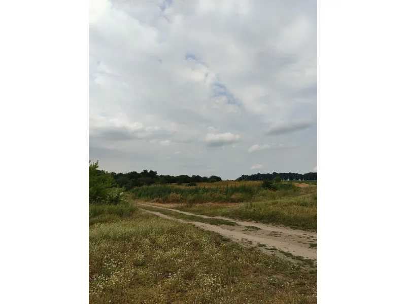 продажа земля сельскохозяйственного назначения Бородянский, Лубянка, 11893757 грн.  - зображення 4