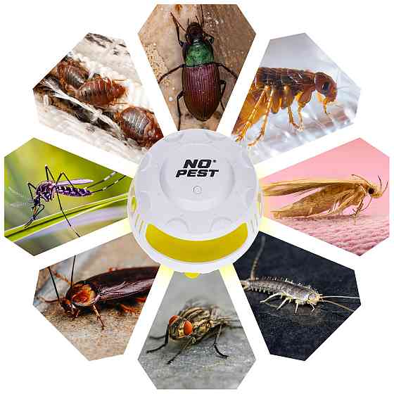 Ловушка для блох, клопов, насекомых No Pest Insect Catcher Одесса