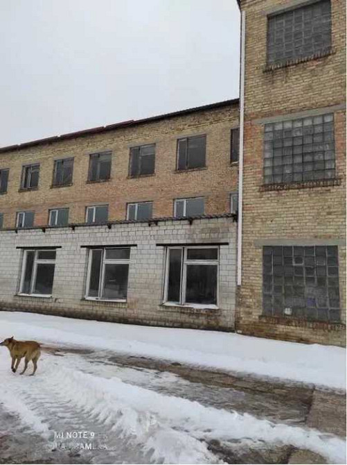 продажа производственные помещения Бородянский, Бородянка, 1150000 $ Бородянка - зображення 5