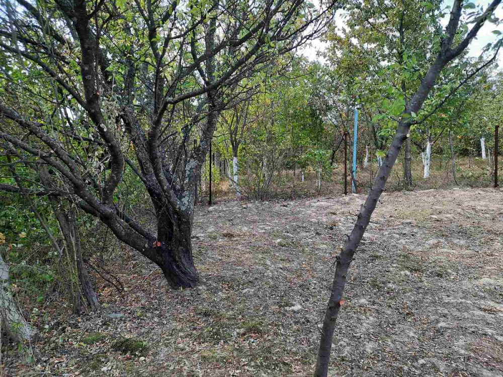 продажа участок под жилую застройку Ужгород, 13500 $ Ужгород - зображення 6