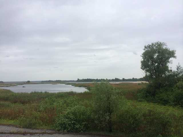 продажа участок под жилую застройку Бориспольский, Процев, 192000 $  - зображення 4