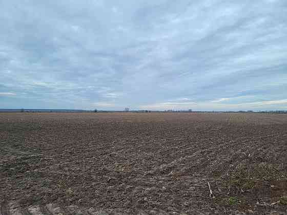 продажа земля сельскохозяйственного назначения Макаровский, Мотыжин, 1167000 грн. 