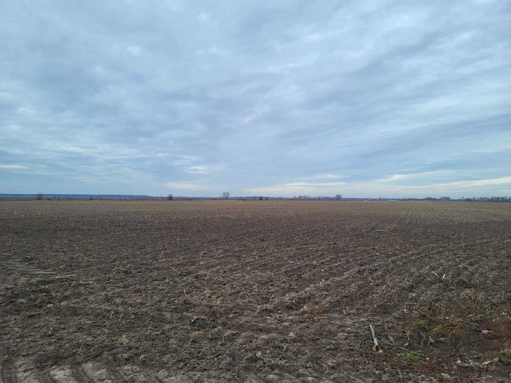 продажа земля сельскохозяйственного назначения Макаровский, Мотыжин, 1167000 грн.  - изображение 1