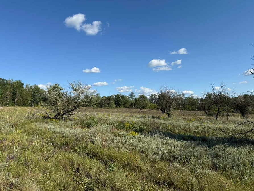 Продаж земельної ділянки,пл. 2 га, з боку Криворізької траси. Дніпро - зображення 4