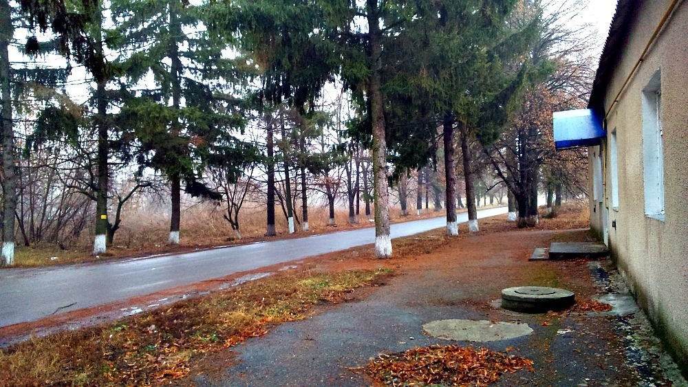 Продам приміщення колишньої пекарні. Біла Церква - зображення 2