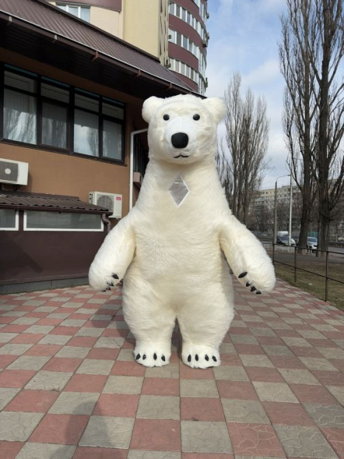 Надувной костюм аниматору кот 4 часа работы 2.4 м 60 Вт Киев - изображение 8